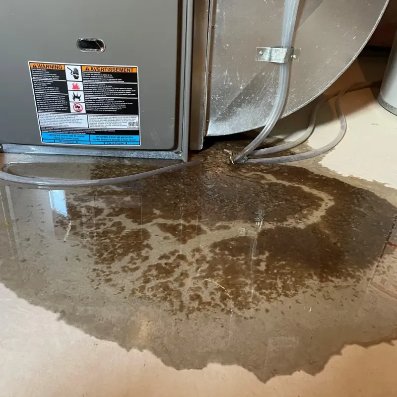 Appliance Leak Cleanup in Stony Point, MI